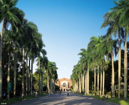 台灣大學總校區，椰林大道是最高學府的象徵地景，可欣賞整座台大景觀的高層住宅更是難能可貴。(圖/業者提供)