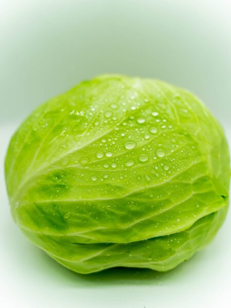 高麗菜含有營養豐富的維生素。圖／ibuki Tsubo